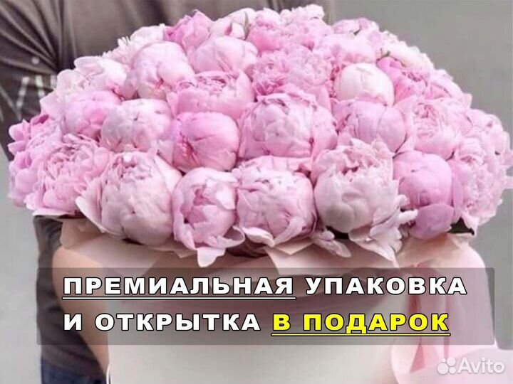 Пионы, цветы от производителя. Гарантия. 24/7