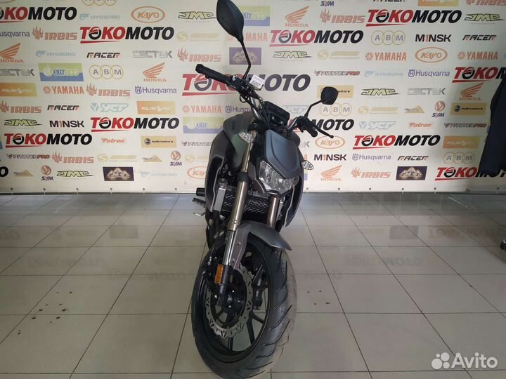 Мотоцикл Regulmoto Alien Monster 300