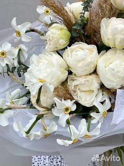 Пионы белые