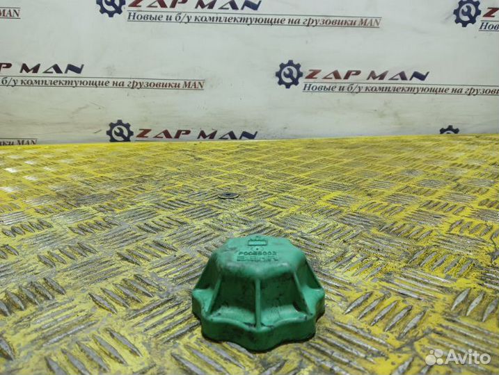 Крышка расширительного бачка Man Tgx