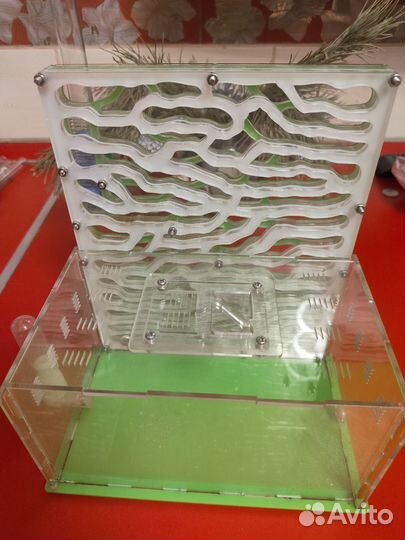 Формикарии - муравьиная ферма