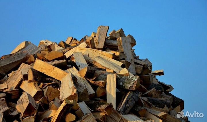 Дрова со Всеволожска
