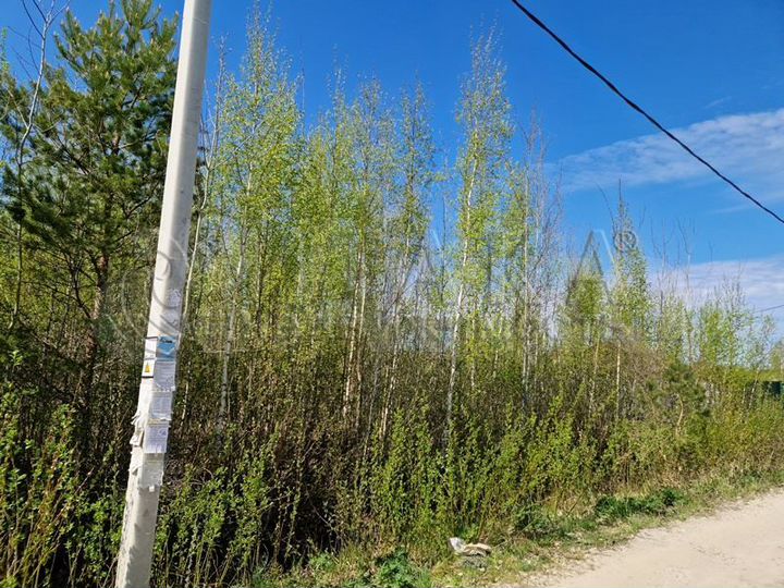 Участок 8 сот. (СНТ, ДНП)