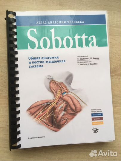 Sobotta. Атлас анатомии человека том 1, изд.2
