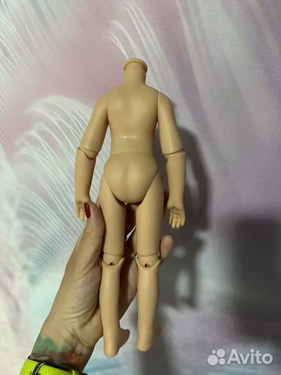 Шарнирное тело паола рейна