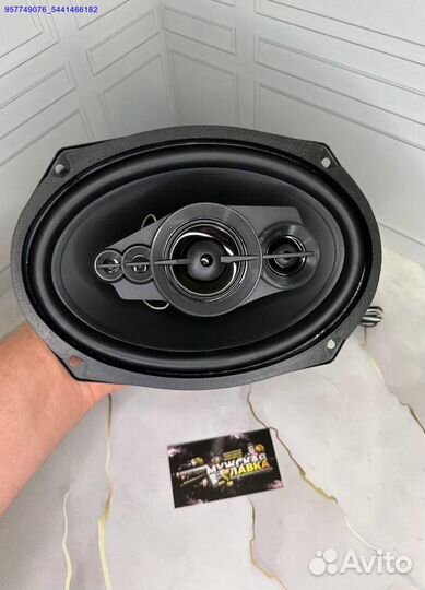 Новые автоколонки Pioneer TS-A6995 1800w