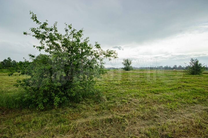 Участок 11 сот. (ИЖС)