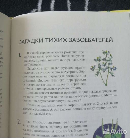 Н. Осипов. Без билета по белу свету