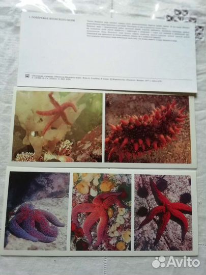 Сборники открыток. Винтаж