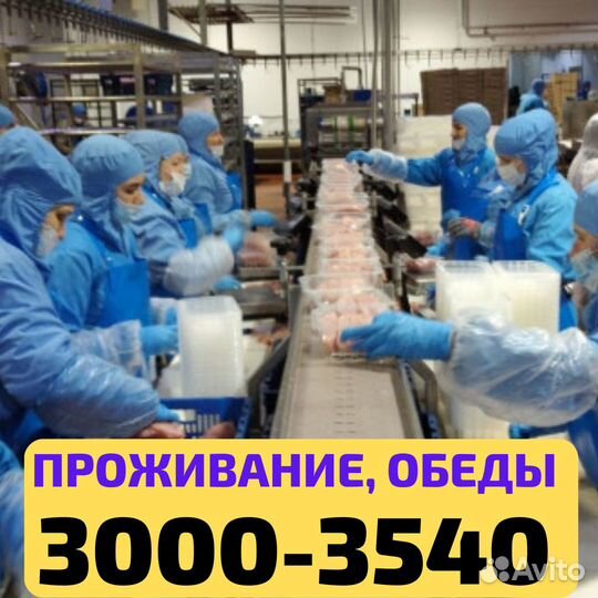 Выезд из Уфы, вахта Нижний Новгород упаковщик