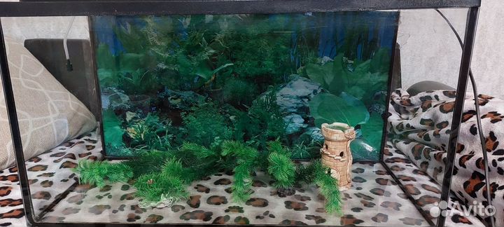 Аквариум