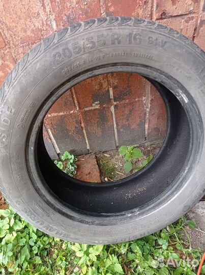 Barum Bravuris 205/55 R16