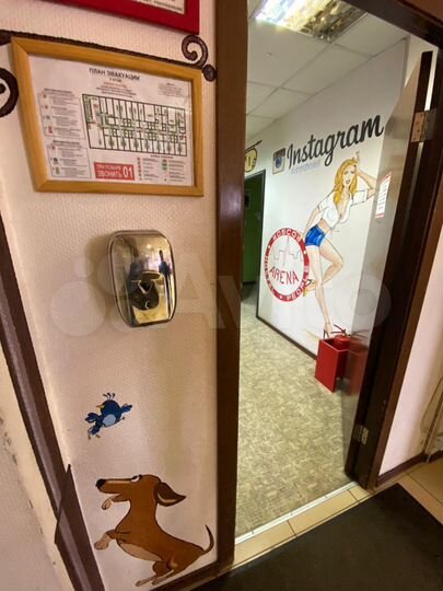 Комната 22 м² в > 9-к., 5/5 эт.