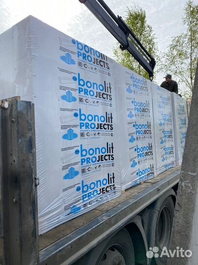 Газосиликатный Блок 600 250