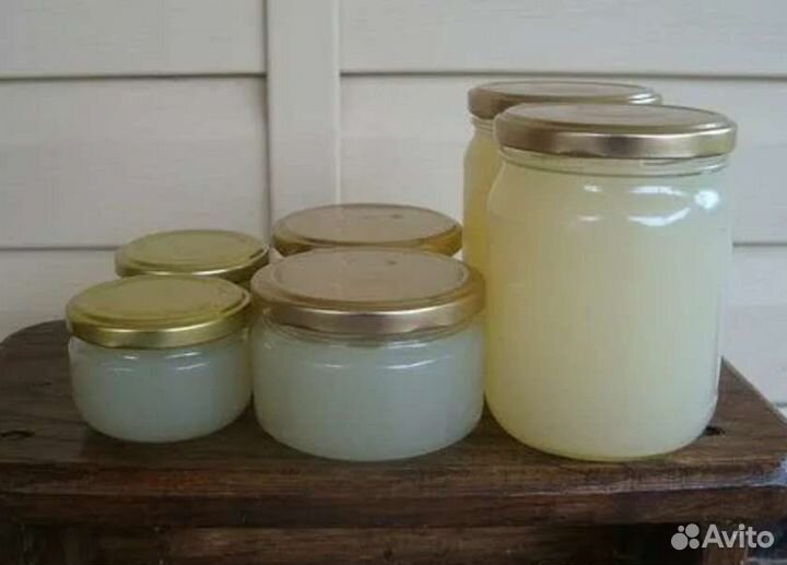 Барсучий жир от охотника