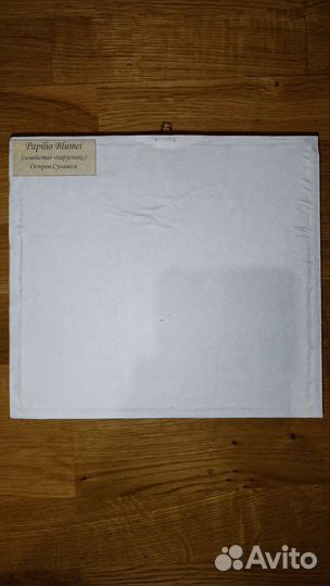 Бабочка в рамке