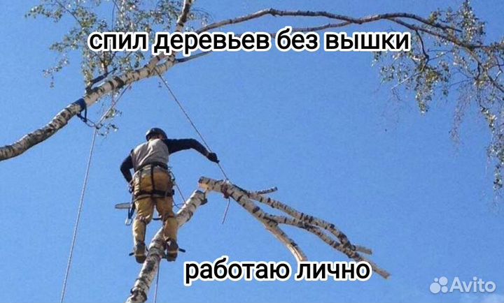 Спил деревьев без вышки / арборист / покос травы