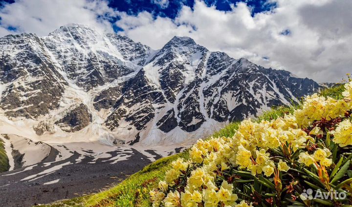 Автобусный тур на Кавказ: Эльбрус, Кисловодск