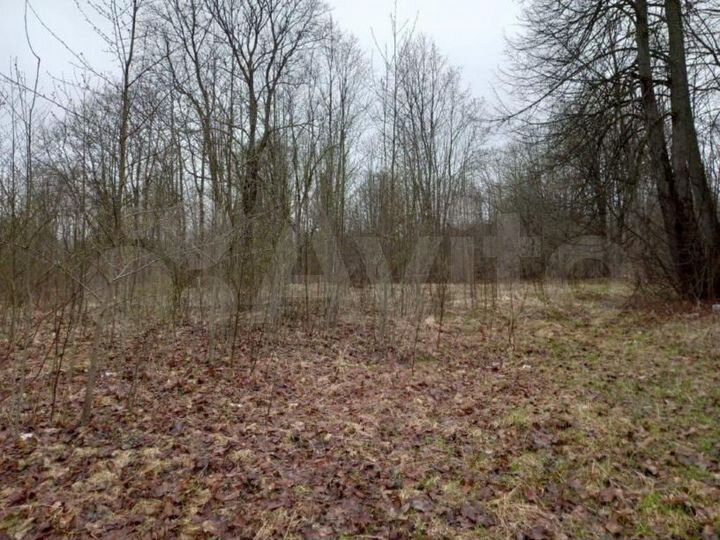 Участок 4,28 га (промназначения)