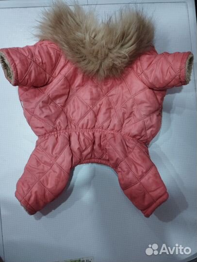 Комбинезон для маленькой собаки девочки