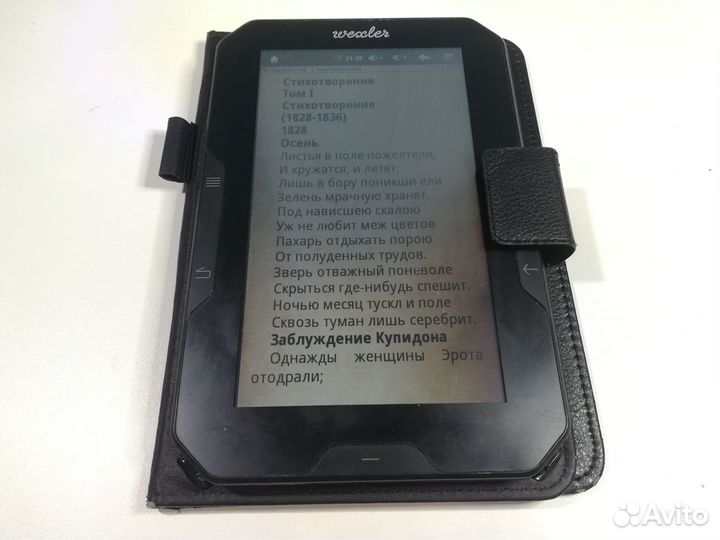 Электронная книга wexler