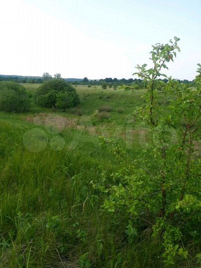 Участок 19,8 га (СНТ, ДНП)