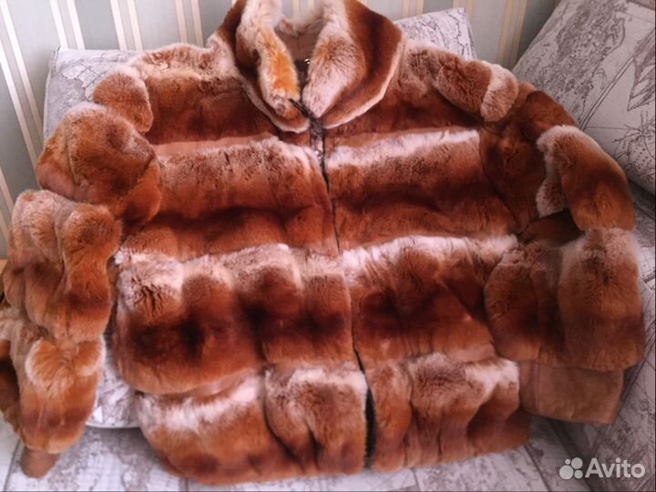 Автоледи шиншилла