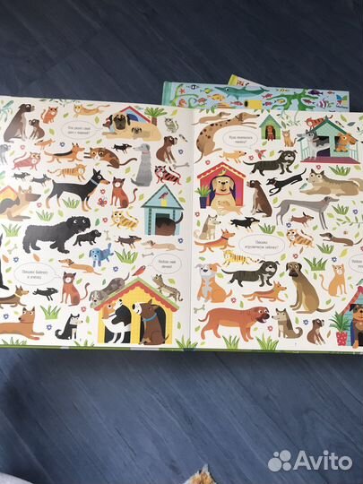 Загадки и головоломки для развития детей