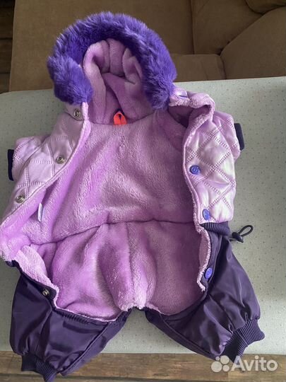 Зимний костюм для собаки