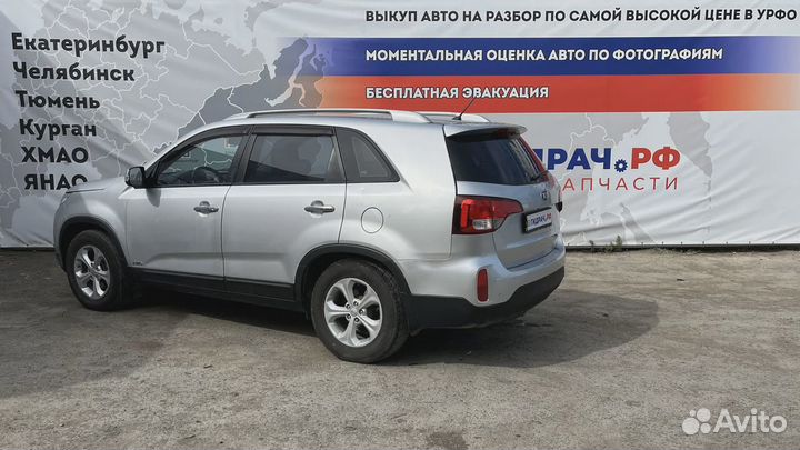 Направляющая стекла двери задней левой Kia Sorento