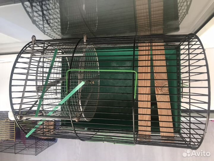 Клетки для грызунов, колесо, купалка