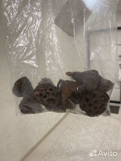 Хлопок, корица и лотос