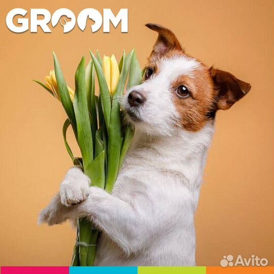 Модель на груминг