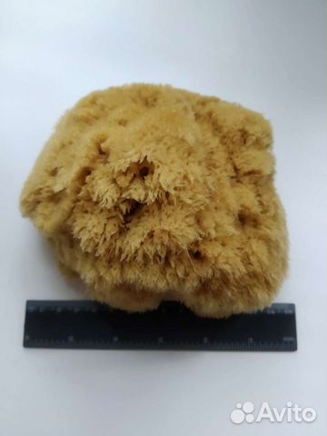 Натуральная морская губка