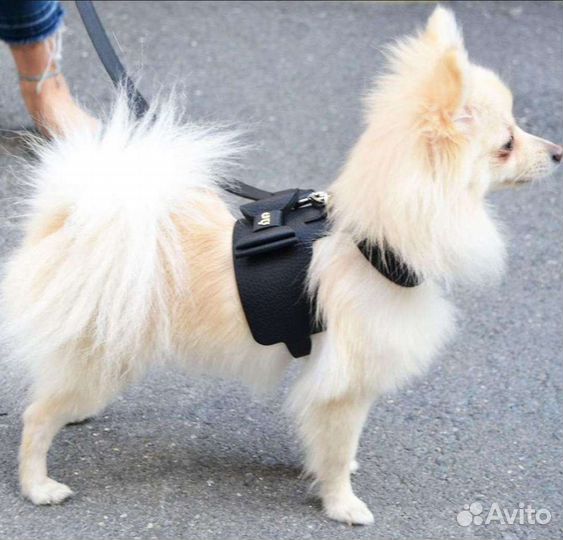 Шлейка Moshiqa натуральная кожа