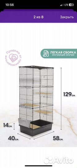 Шиншила с клеткой