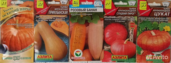 Семена тыквы,редиса,капусты, кабачков, баклажанов