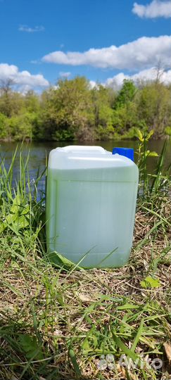 Хлорелла для пруда