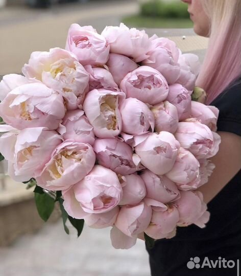 Пионы Букеты Доставка 24/7 Цветы Корзины