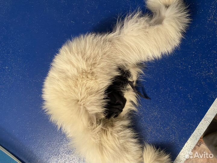 Шапка меховая женская зимняя кролик