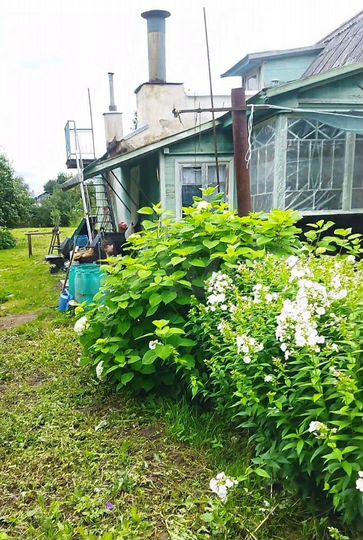 Дом 48 м² на участке 8 сот.