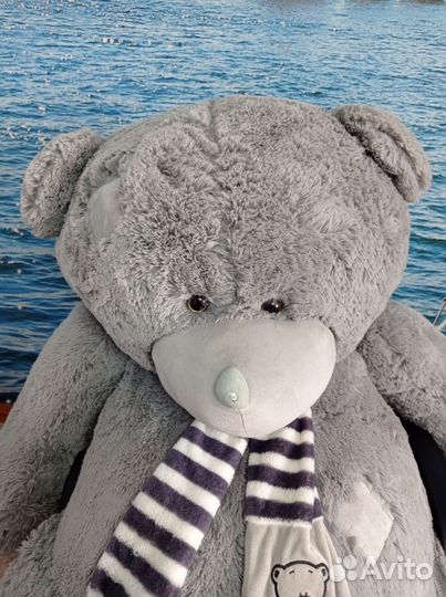 Плюшевый медведь