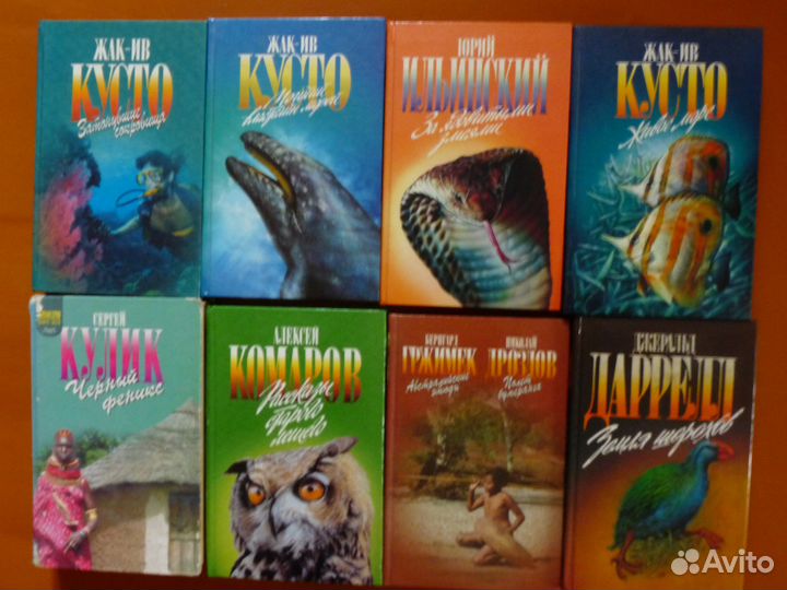 Приключения на суше И на море