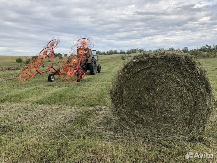 Продам сено в рулонах свежий укос