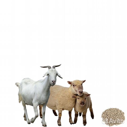 Кормосмесь для коз и овец