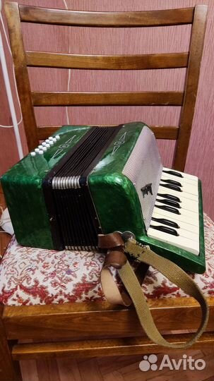 Аккордеон детский