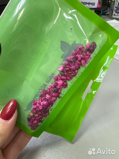 Семена цветка горец почечуйный