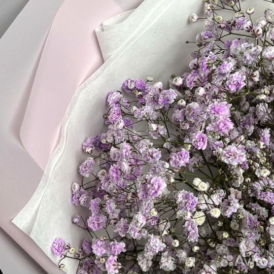 Букет из сиреневой гипсофилы