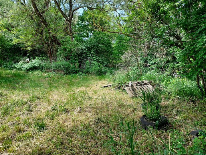 Участок 12 сот. (СНТ, ДНП)