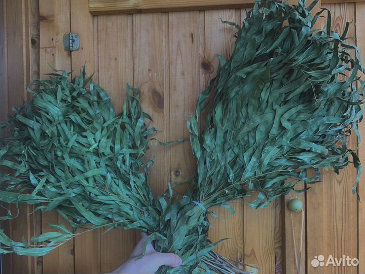 Веники для бани из эвкалипта